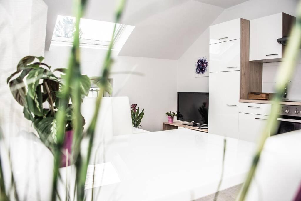 Pouringraz Fuer Kunst- Und Tennisliebhaber Appartement